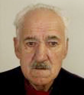 Ermelindo Vieira da Silva