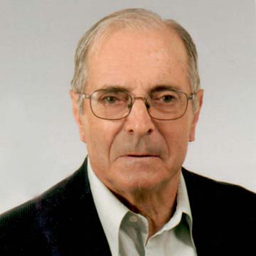 Manuel Joaquim Afonso Domingues