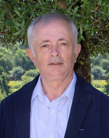 Joaquim Manuel Amorim da Silva